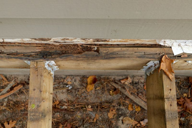 Dry Rot Damage Repair