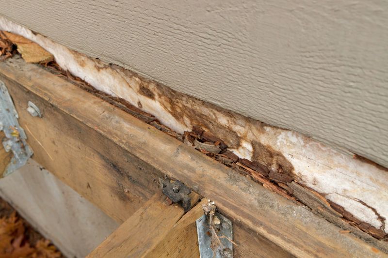 Dry Rot Damage Repair