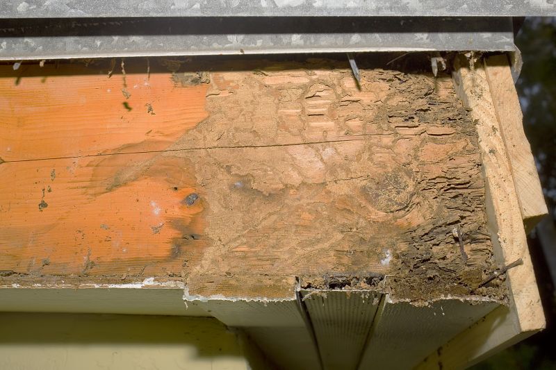 Dry Rot Damage Repair