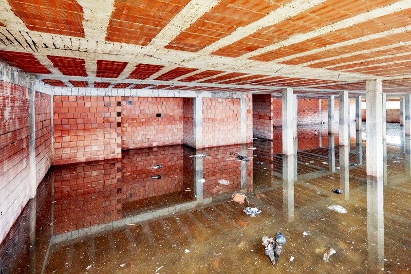 Basement Restoration Service in Scottsdale, AZ