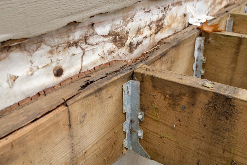 Dry Rot Damage Repair