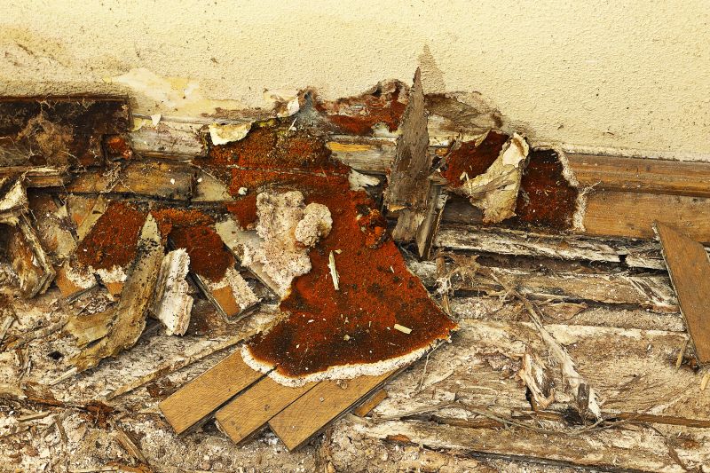 Decay Repair Service in Overland Park, KS