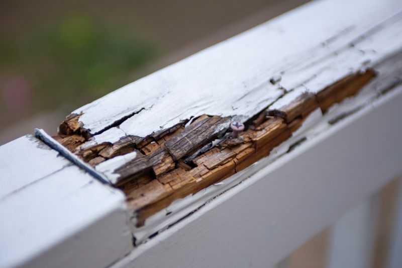 Dry Rot Repair Service