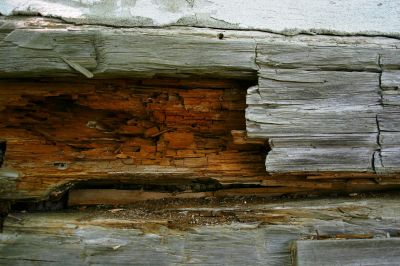 Dry Rot Damage Repair detail