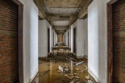 Moisture Removal Service in Mesa, AZ