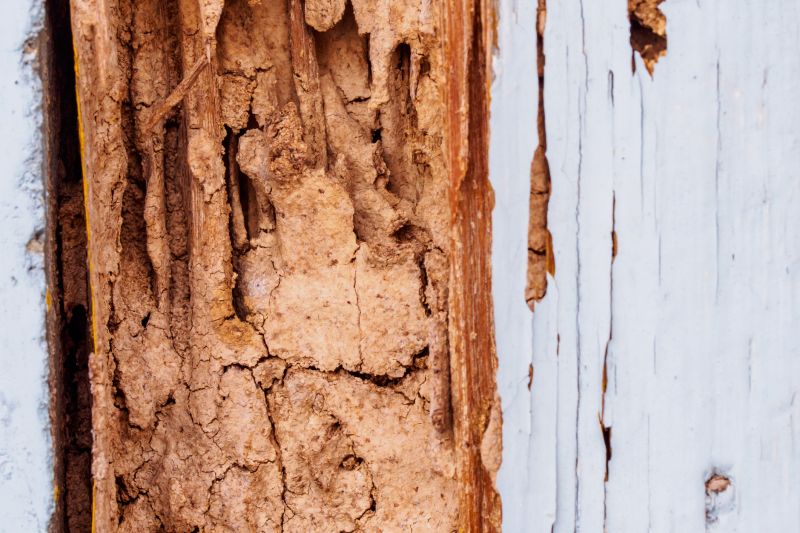 Rotten Wood Repair in Longmont, CO
