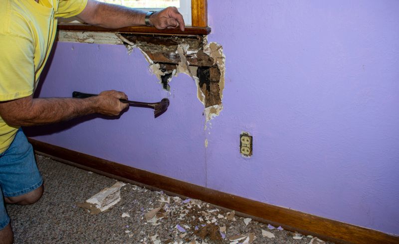 Termite Damage Repair Service in Kansas City, MO