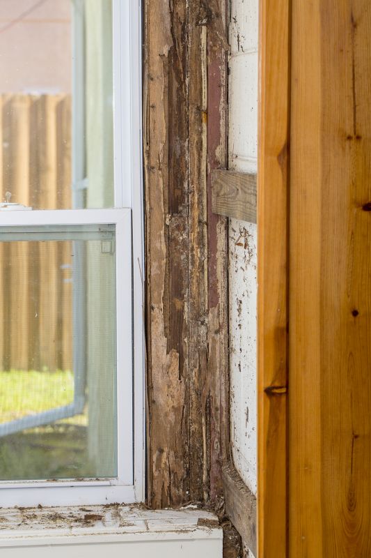 Termite Damage Restoration in Littleton, CO