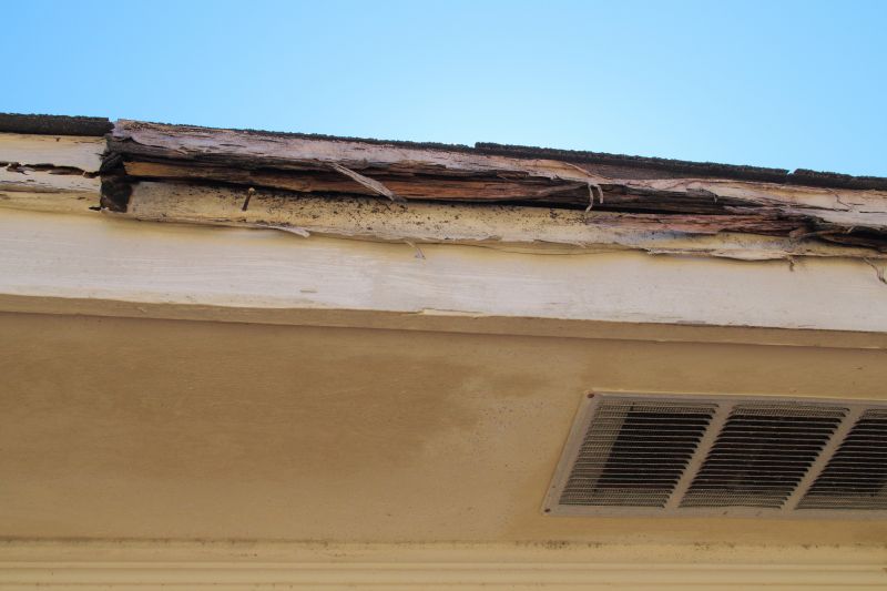 Termite Damage Restoration in Littleton, CO