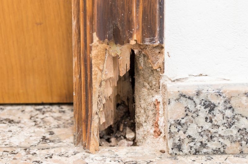 Termite Damage Restoration in Denver, CO