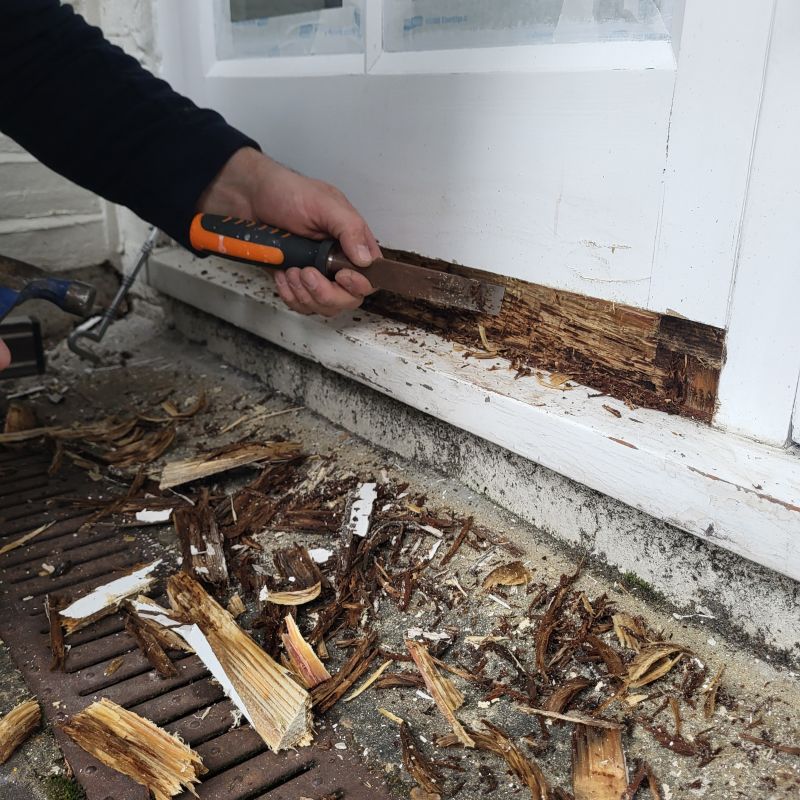Window Rot Repair in Denver County, CO