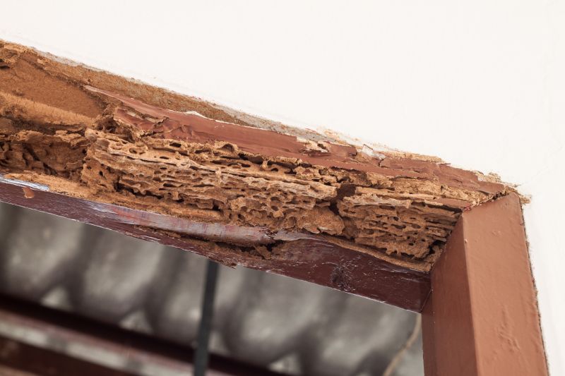 Wood Decay Removal in Olathe, KS