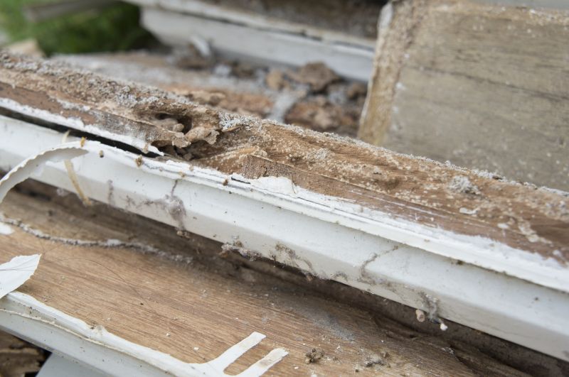 Wood Decay Removal in Olathe, KS