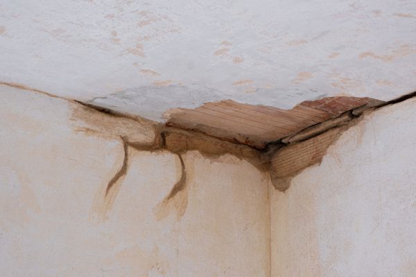 Moisture Damage Restoration